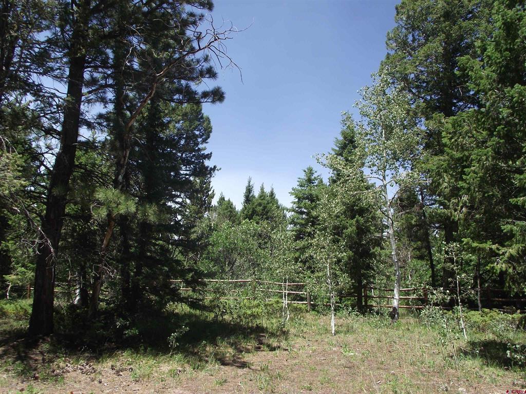 15283 Spring Creek Trail Montrose CO 81403