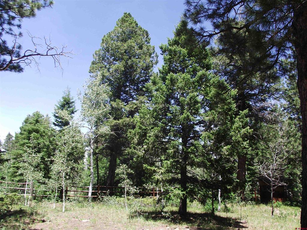 15283 Spring Creek Trail Montrose CO 81403