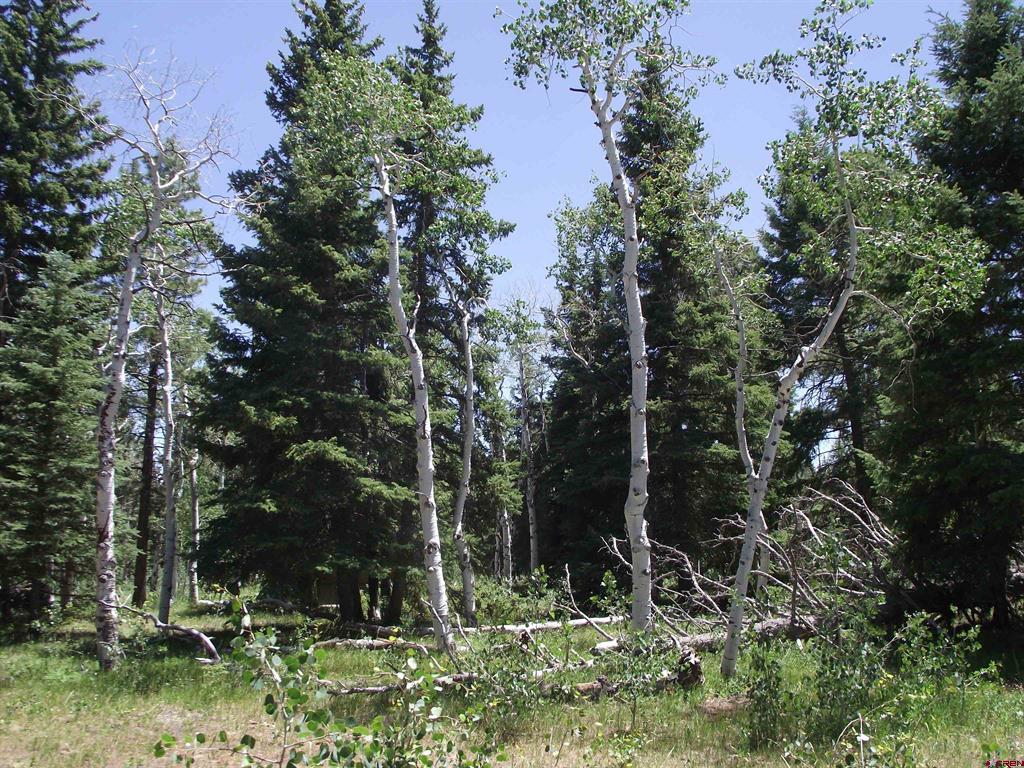 15283 Spring Creek Trail Montrose CO 81403