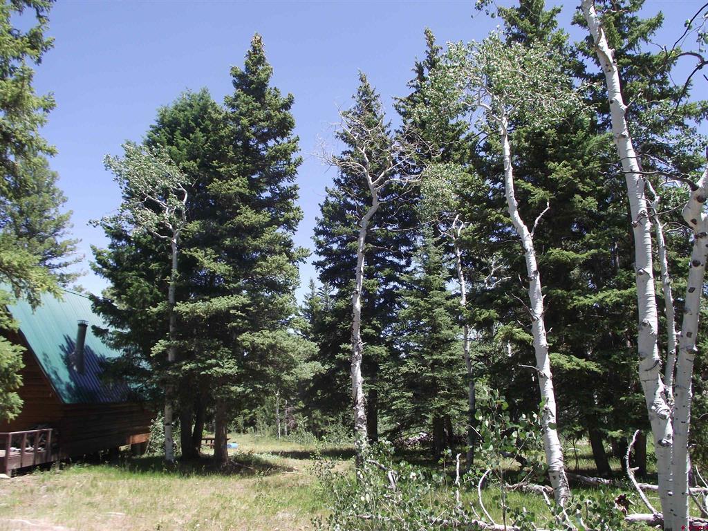 15283 Spring Creek Trail Montrose CO 81403