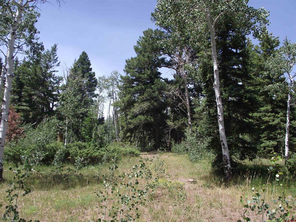 15283 Spring Creek Trail Montrose CO 81403
