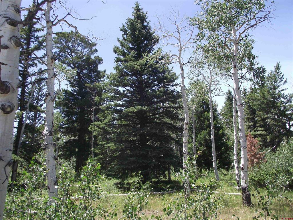 15283 Spring Creek Trail Montrose CO 81403