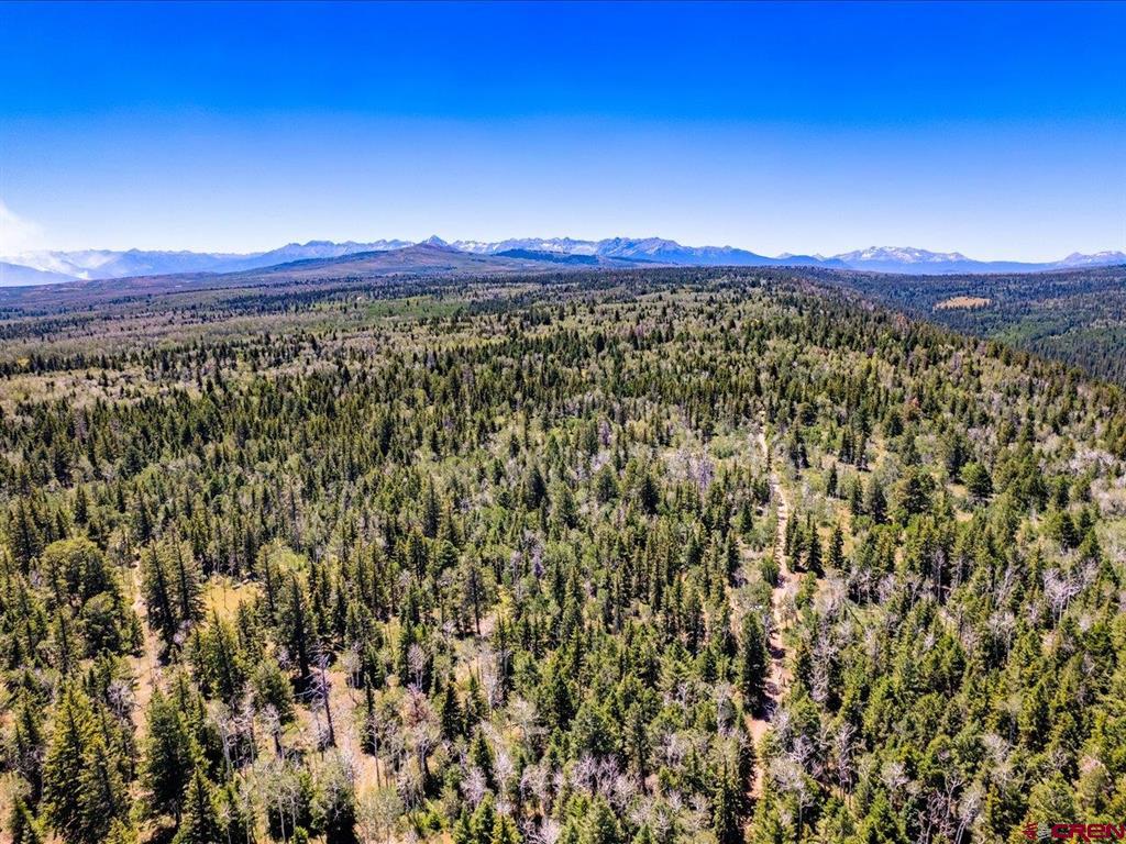 15283 Spring Creek Trail Montrose CO 81403