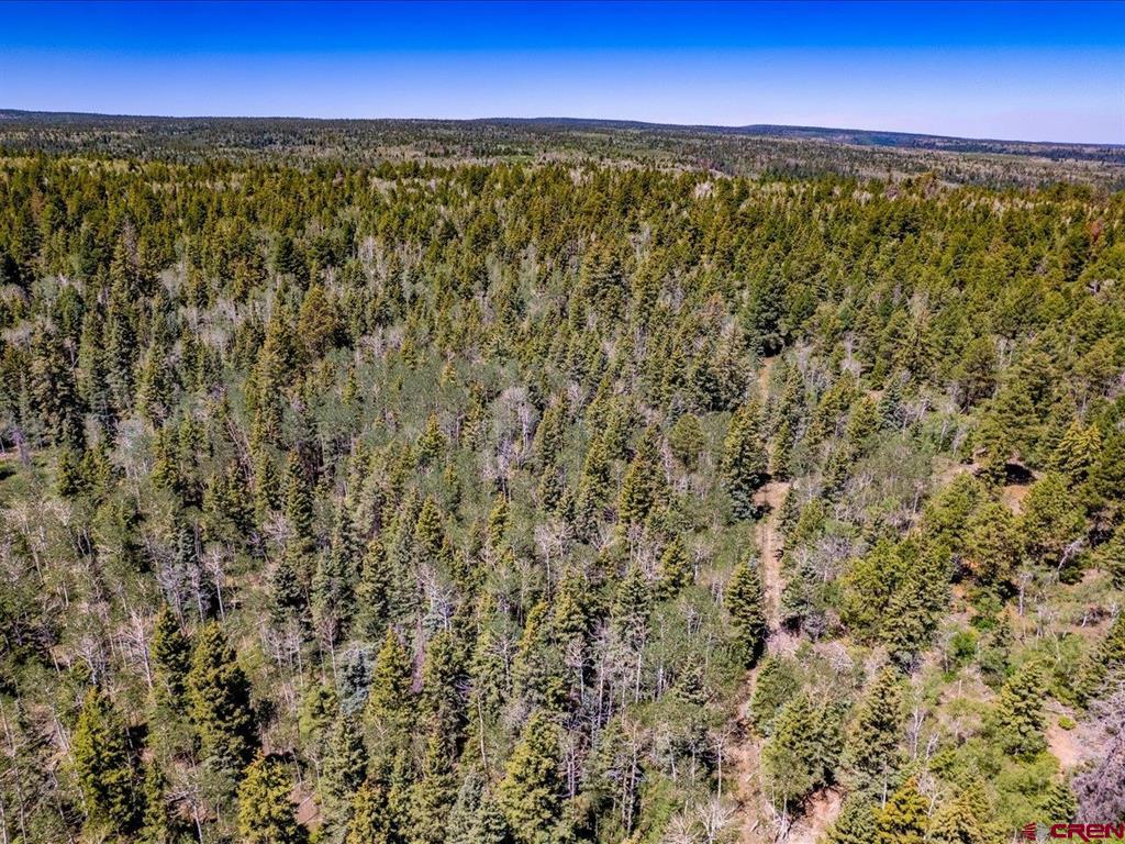 15283 Spring Creek Trail Montrose CO 81403