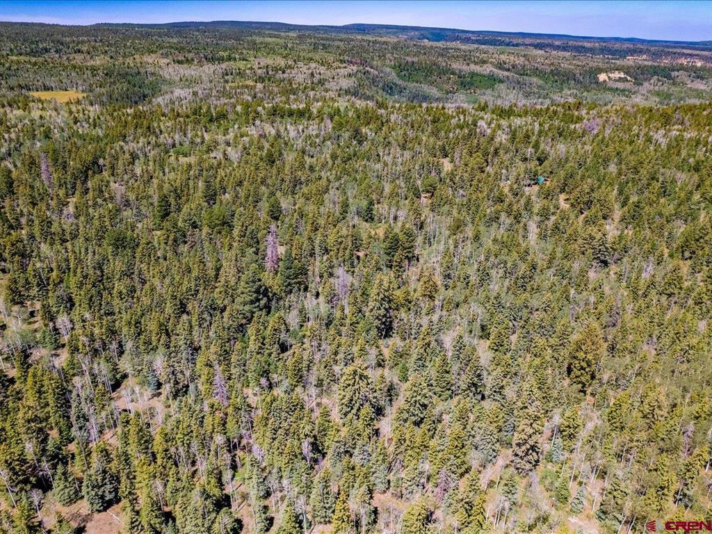 15283 Spring Creek Trail Montrose CO 81403