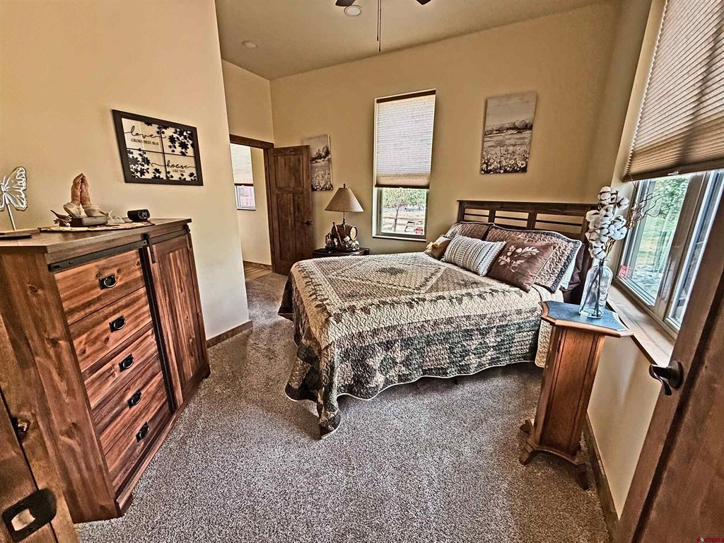 11 Rio Vista Circle South Fork CO 81154