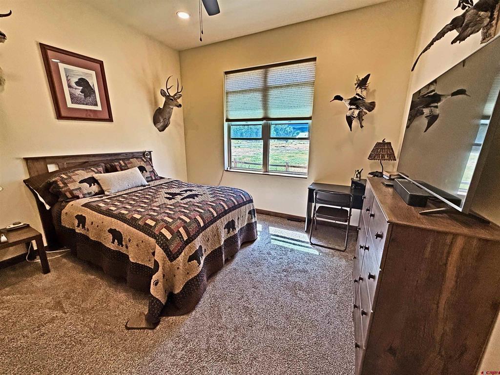 11 Rio Vista Circle South Fork CO 81154