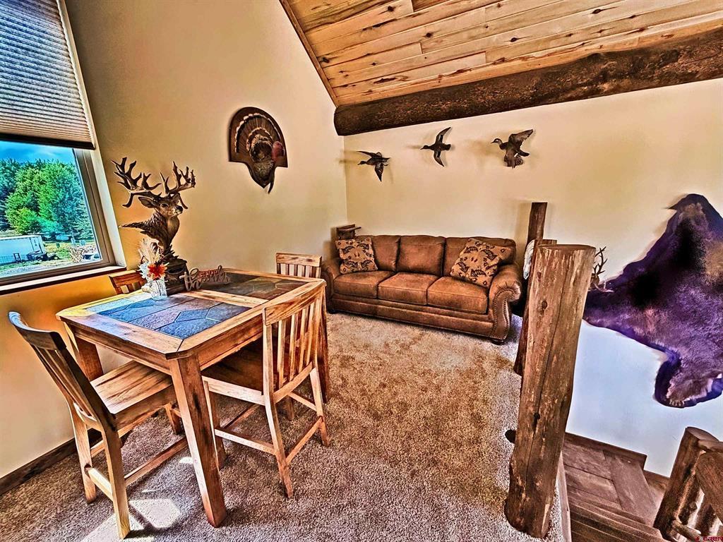 11 Rio Vista Circle South Fork CO 81154