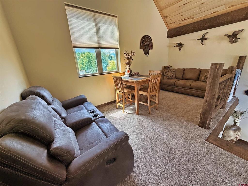 11 Rio Vista Circle South Fork CO 81154