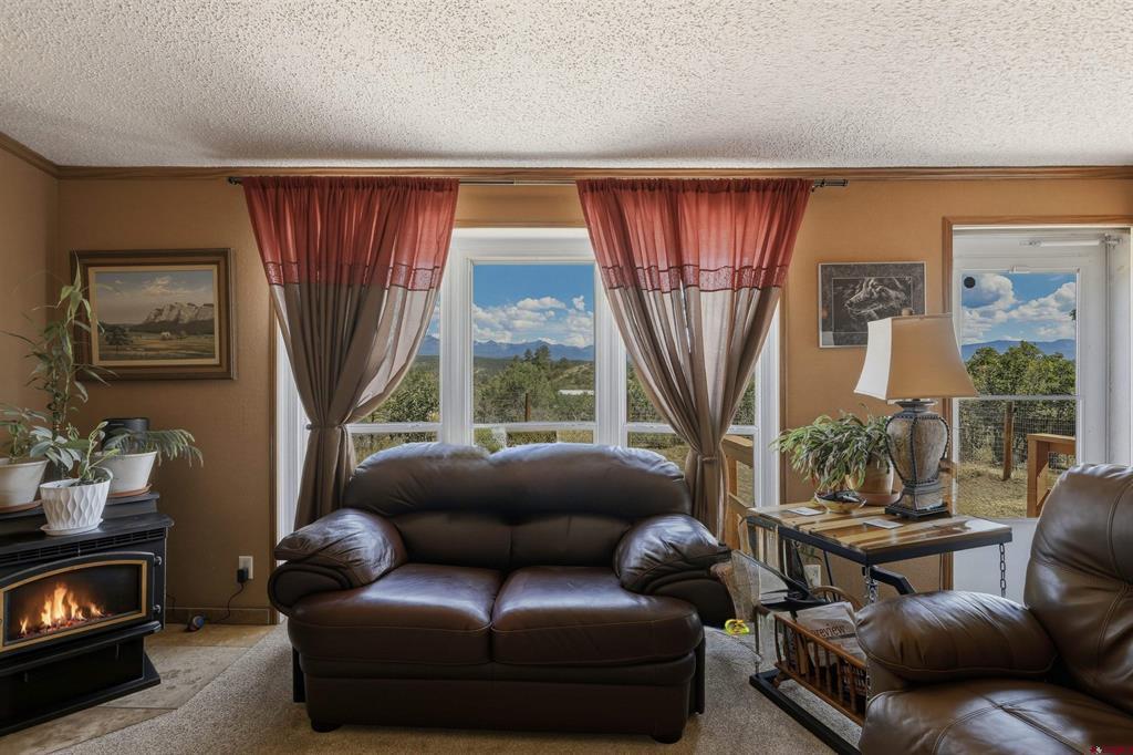 76 Sunshine Drive Pagosa Springs CO 81147