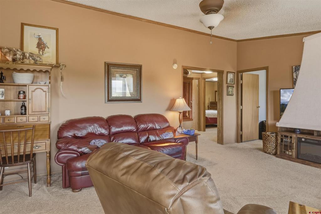 76 Sunshine Drive Pagosa Springs CO 81147