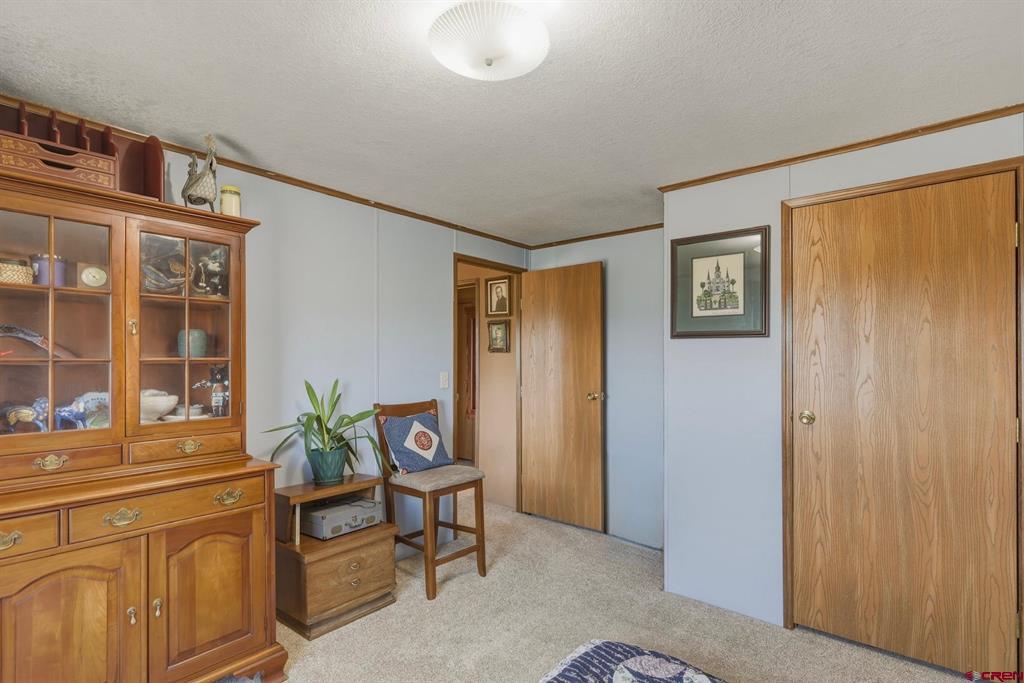 76 Sunshine Drive Pagosa Springs CO 81147