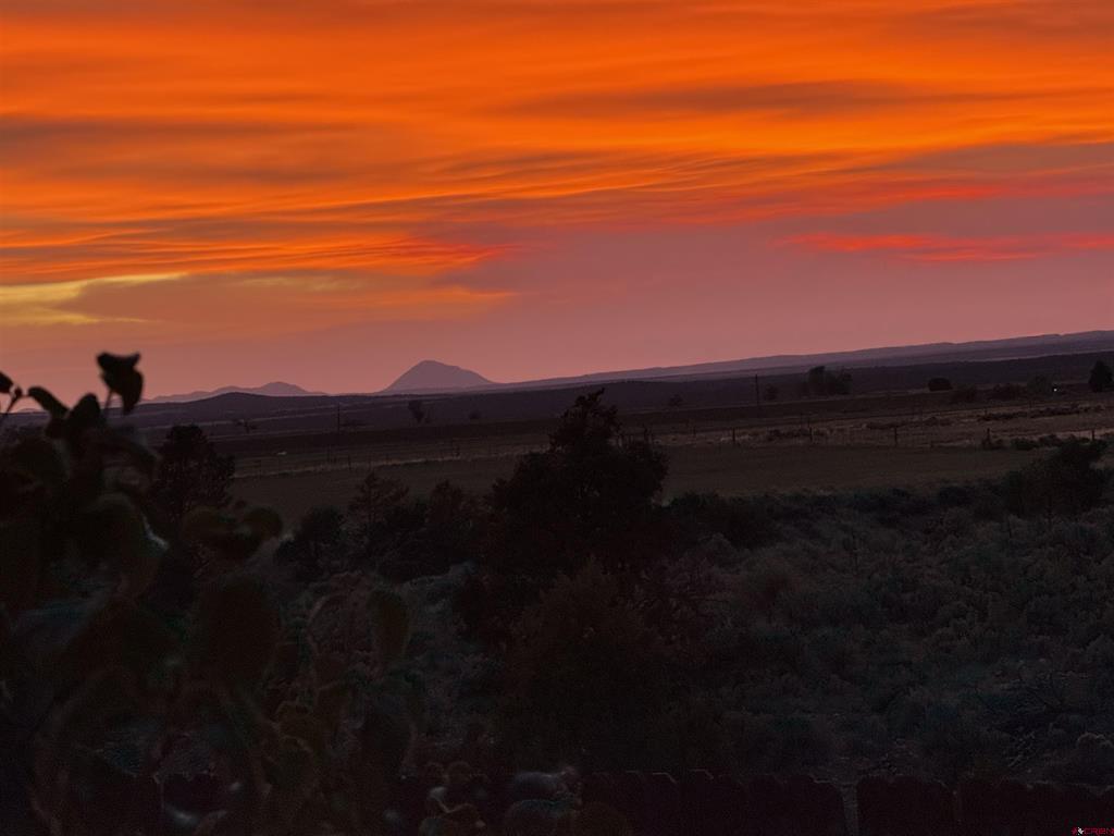 87 Church Hollow Hesperus CO 81326