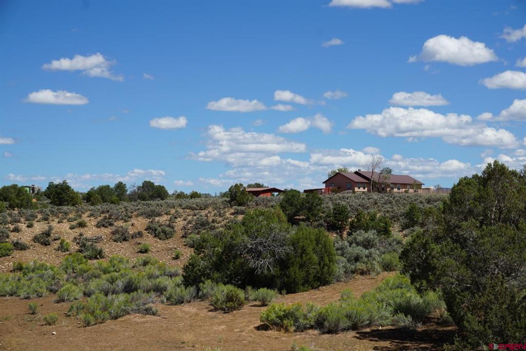 87 Church Hollow Hesperus CO 81326