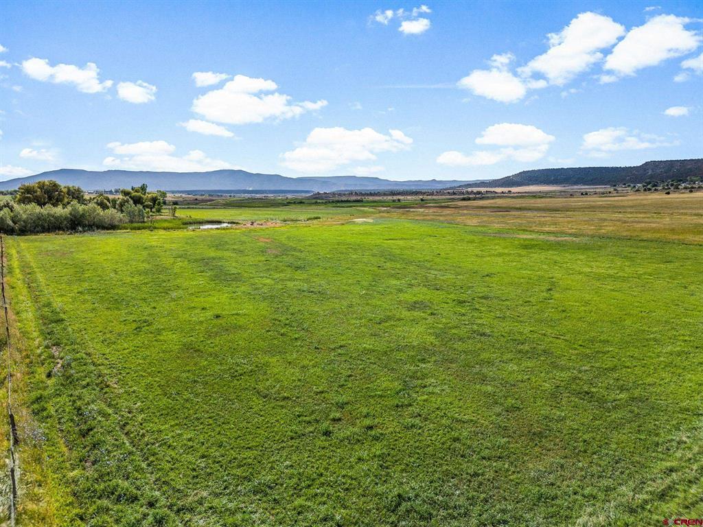 1204 Cr 332 Ignacio CO 81301