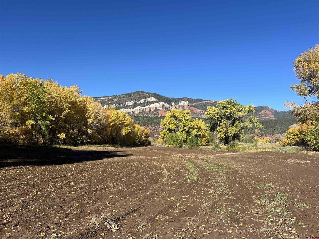 27848 Us Highway 550 Durango CO 81301