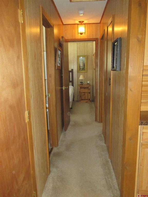 1361 Cedar Drive Lake City CO 81235