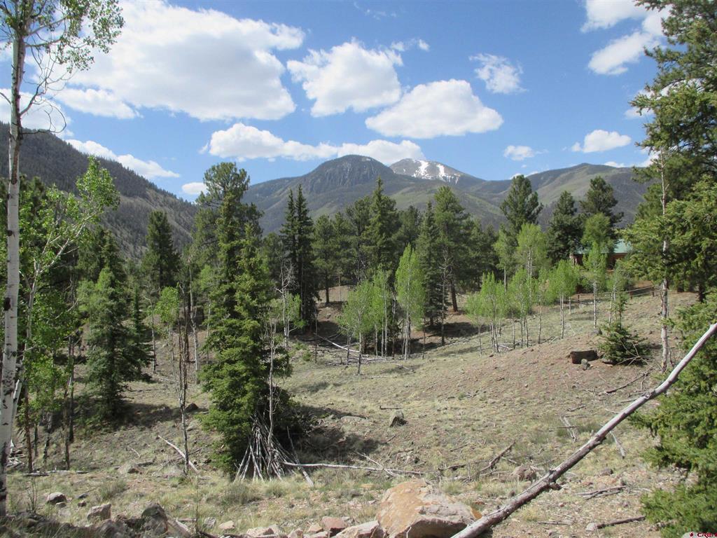 1361 Cedar Drive Lake City CO 81235