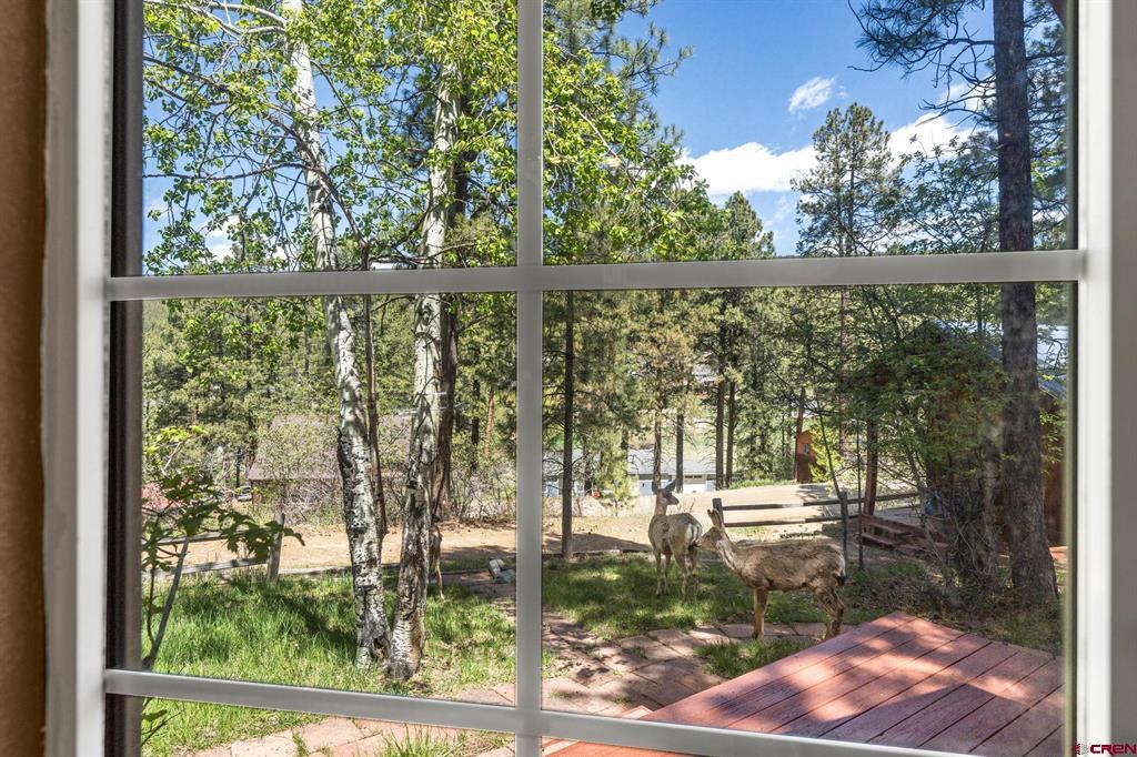 612 Alpine Forest Drive Bayfield CO 81122