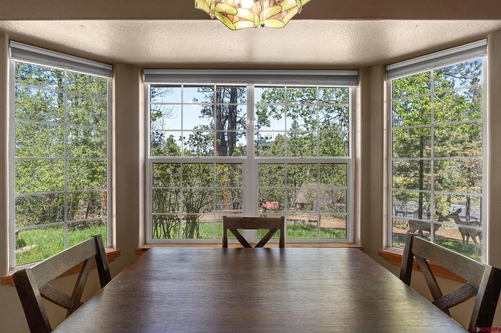 612 Alpine Forest Drive Bayfield CO 81122
