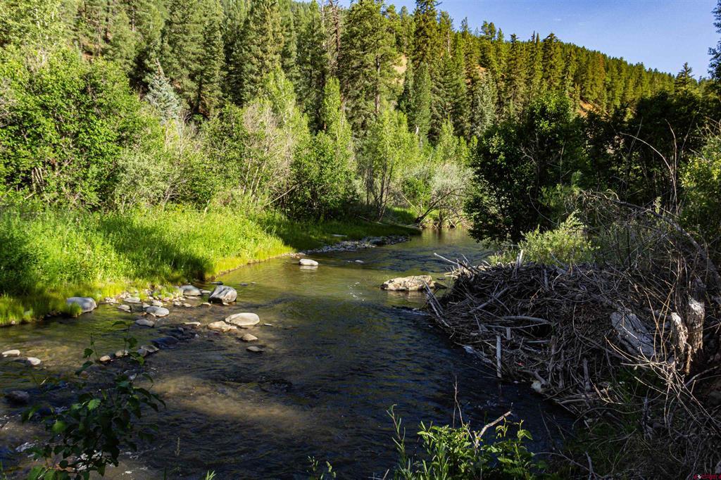 208 Pond Court Pagosa Springs CO 81147