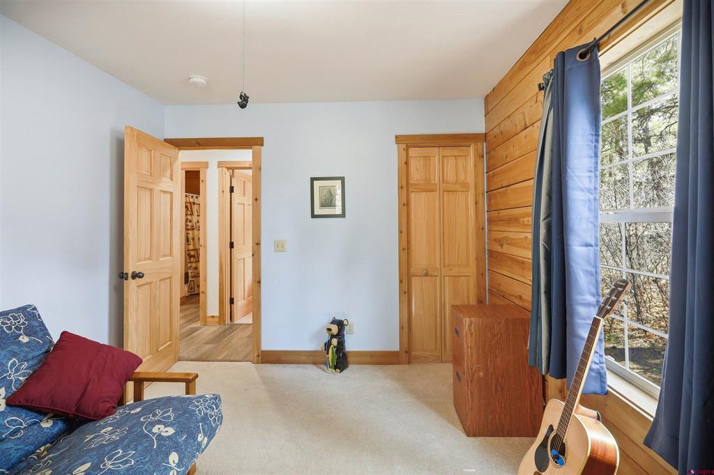 1585 Shenandoah Drive Pagosa Springs CO 81147