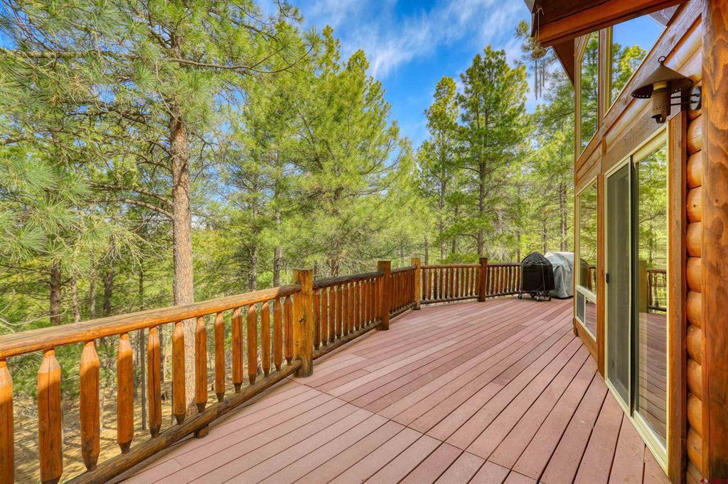 1585 Shenandoah Drive Pagosa Springs CO 81147