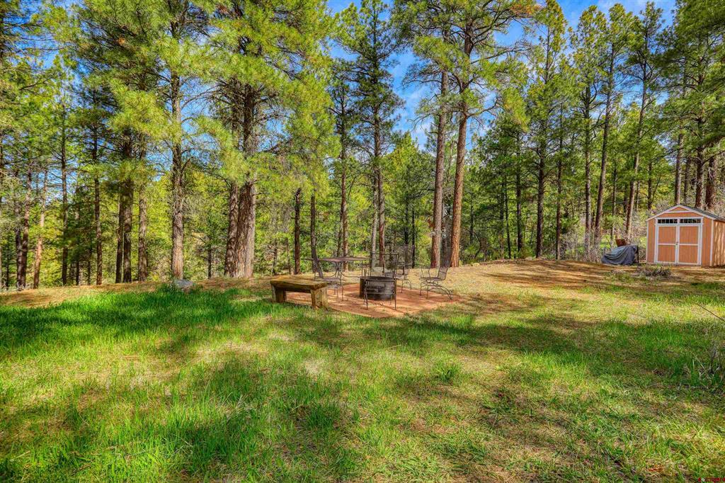 1585 Shenandoah Drive Pagosa Springs CO 81147