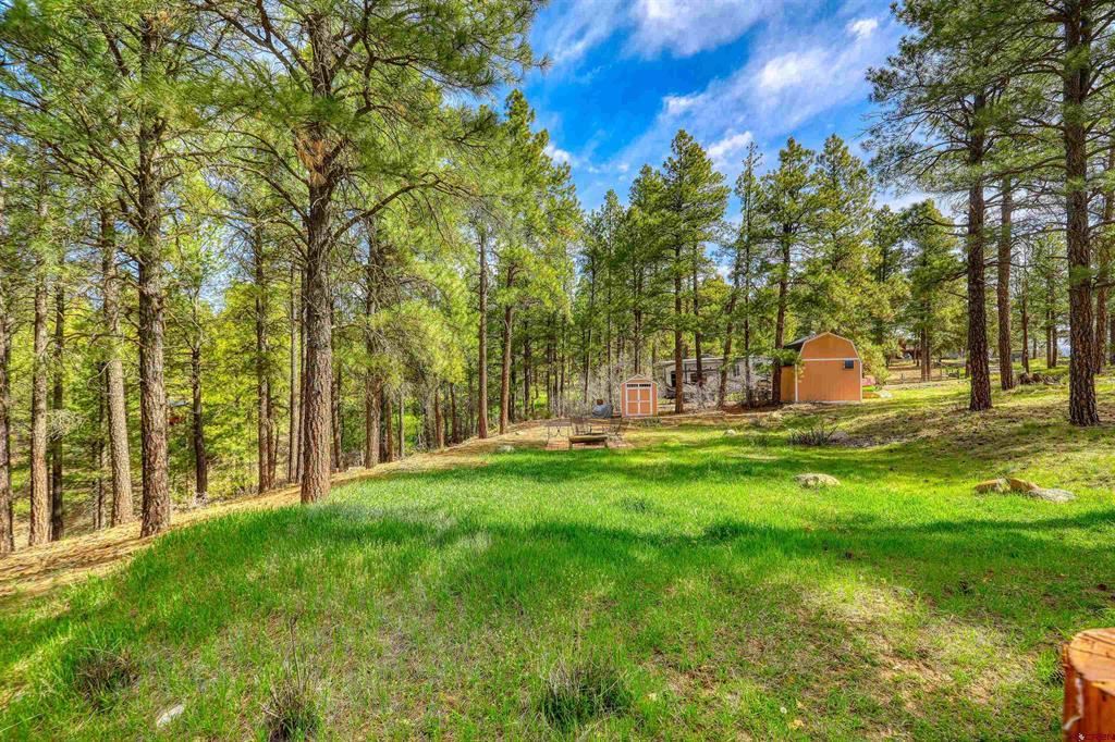 1585 Shenandoah Drive Pagosa Springs CO 81147