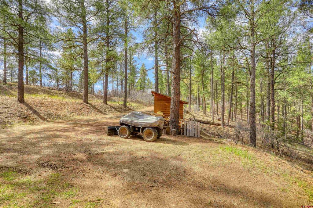 1585 Shenandoah Drive Pagosa Springs CO 81147