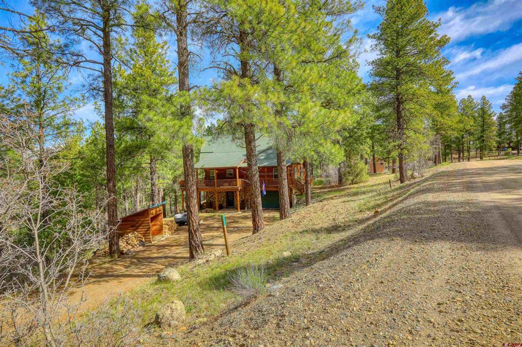 1585 Shenandoah Drive Pagosa Springs CO 81147