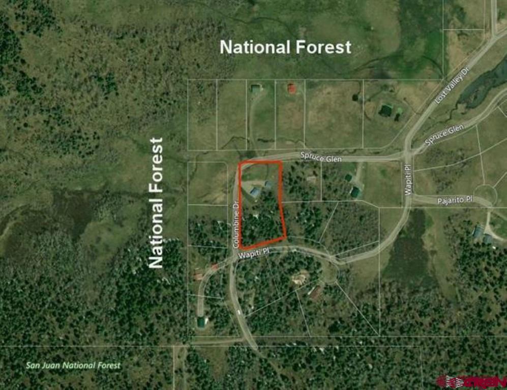 236 Spruce Glen Pagosa Springs CO 81147