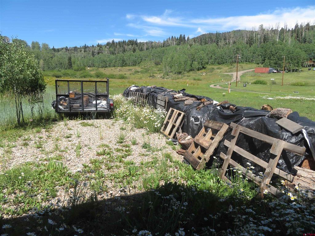 236 Spruce Glen Pagosa Springs CO 81147