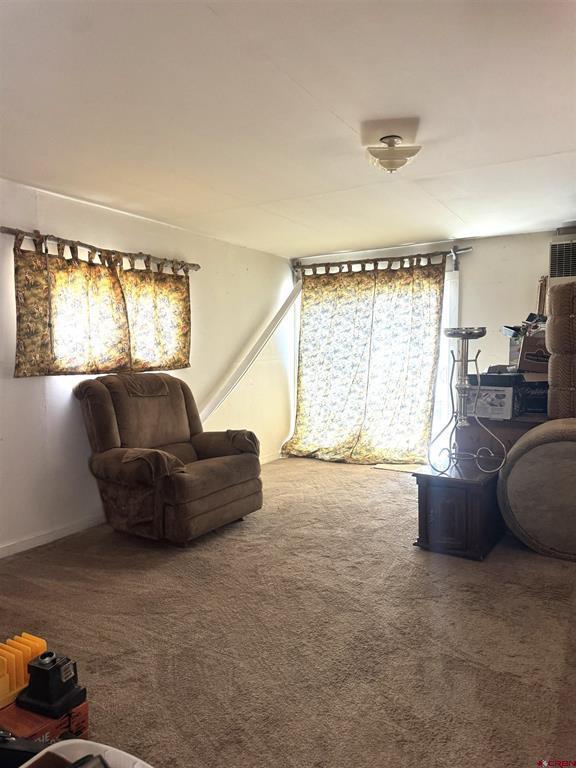 511 Chipeta Road Montrose CO 81403