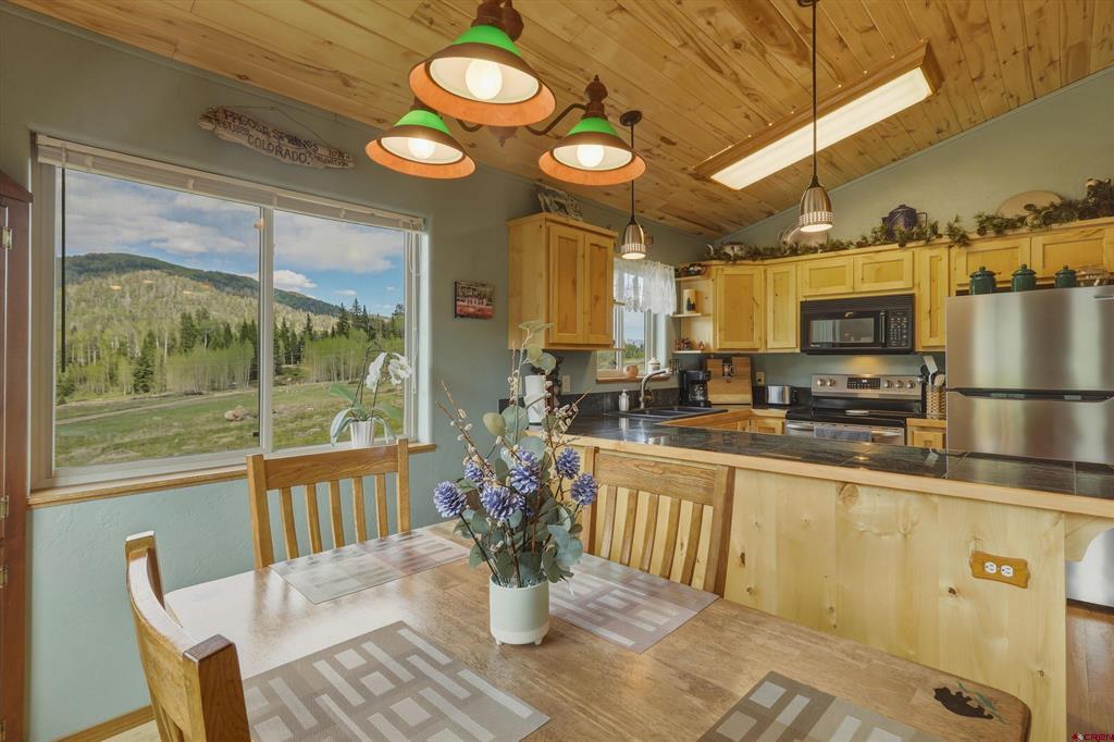 320 Spruce Glen Drive Pagosa Springs CO 81147
