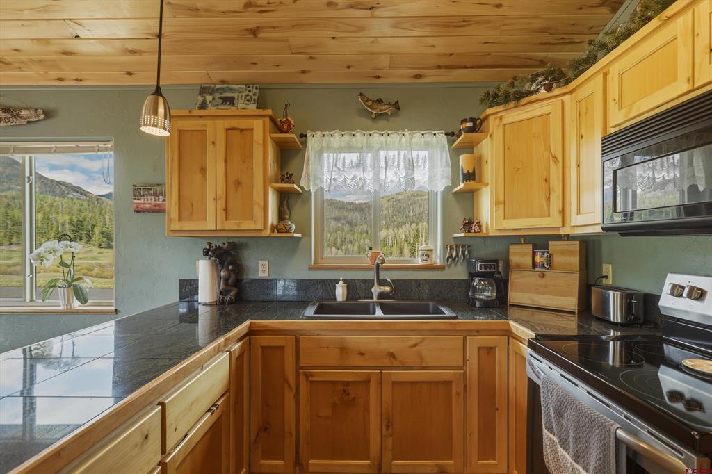 320 Spruce Glen Drive Pagosa Springs CO 81147