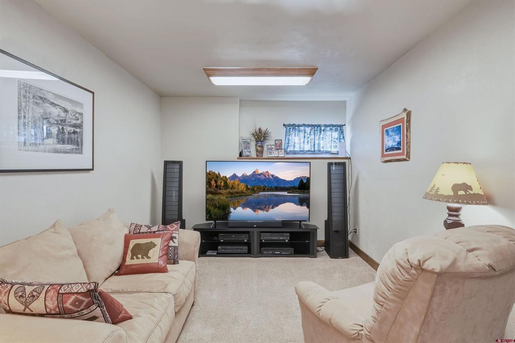 320 Spruce Glen Drive Pagosa Springs CO 81147