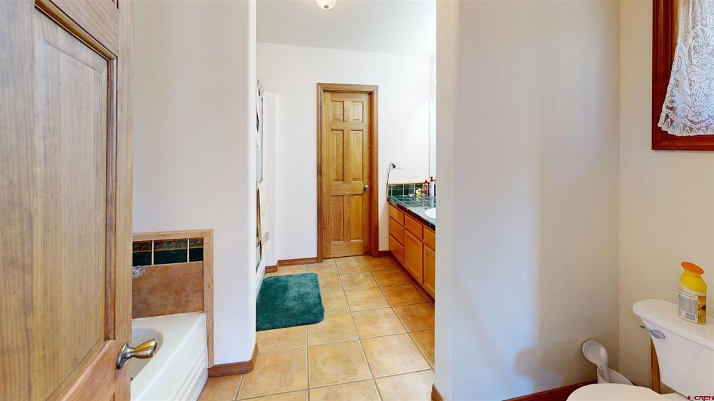435, 493 E Morning Glory Drive Pagosa Springs CO 81147