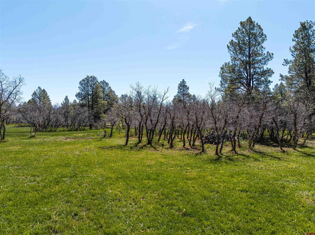 435, 493 E Morning Glory Drive Pagosa Springs CO 81147