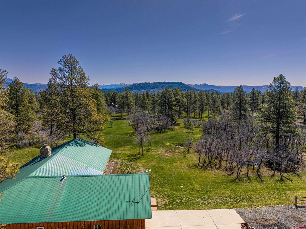 435, 493 E Morning Glory Drive Pagosa Springs CO 81147