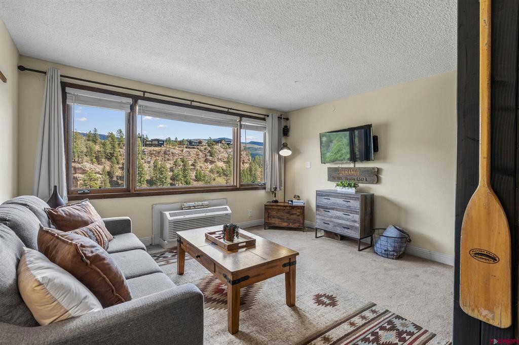 314 N Tamarron Drive Durango CO 81301