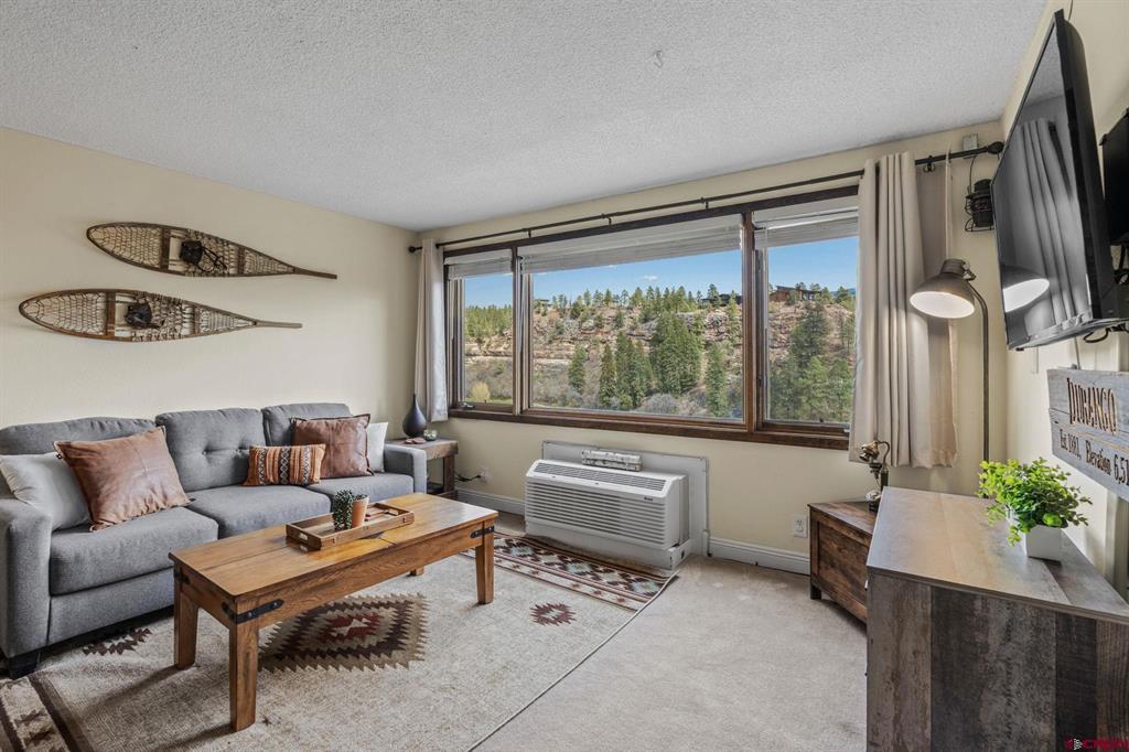 314 N Tamarron Drive Durango CO 81301