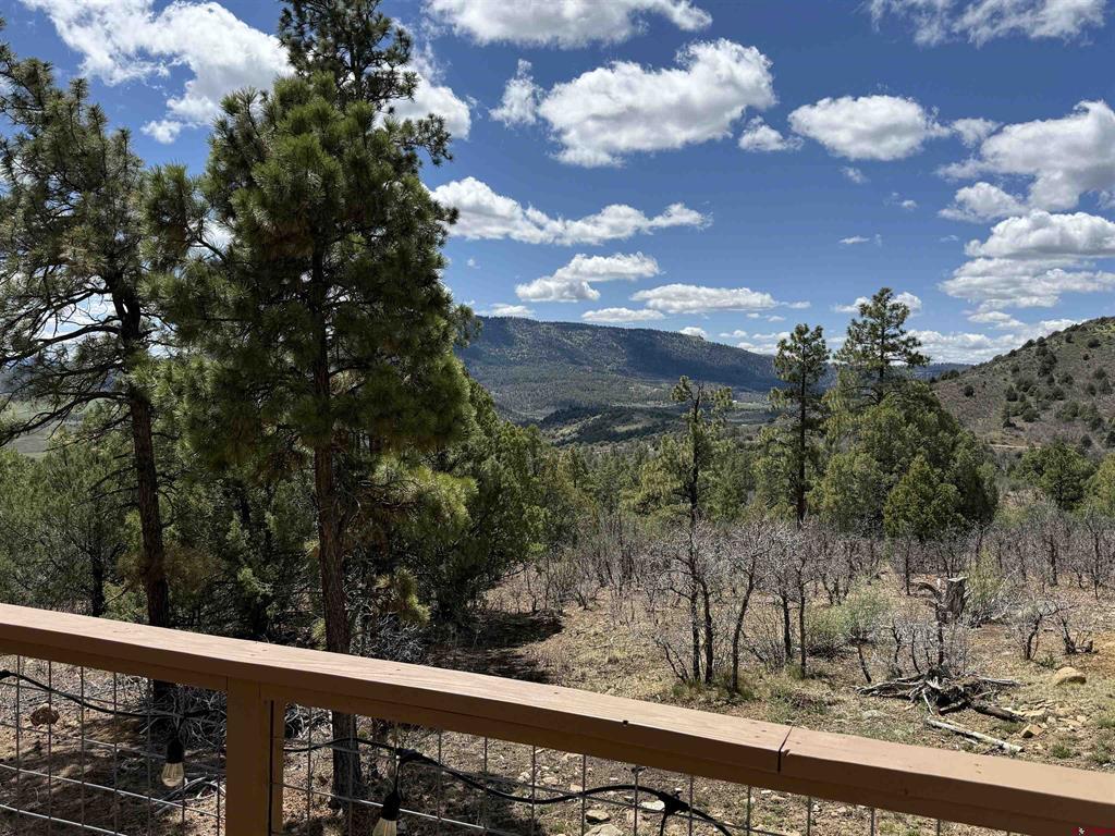 1140 Lodgepole Drive Pagosa Springs CO 81147