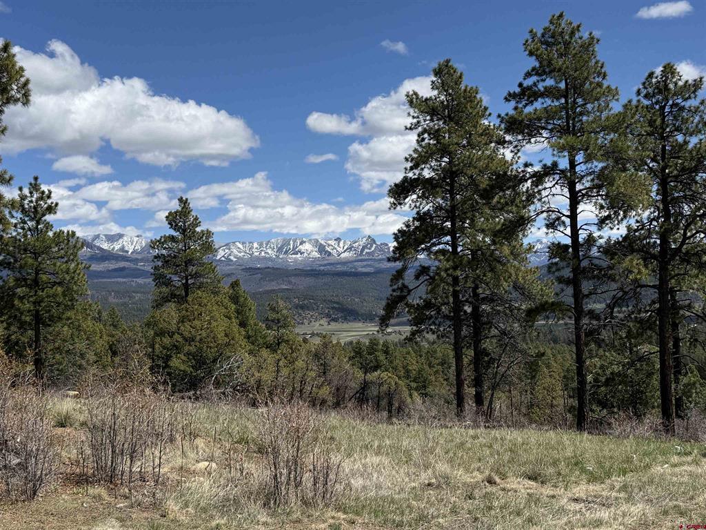 1140 Lodgepole Drive Pagosa Springs CO 81147