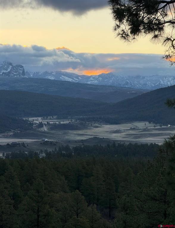 1140 Lodgepole Drive Pagosa Springs CO 81147