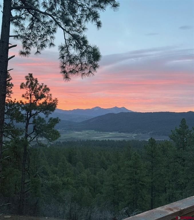 1140 Lodgepole Drive Pagosa Springs CO 81147