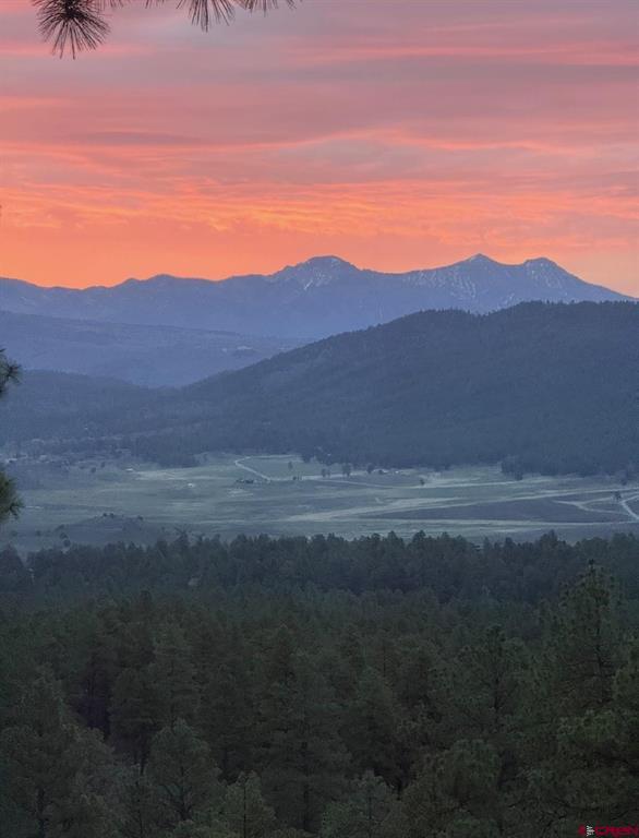 1140 Lodgepole Drive Pagosa Springs CO 81147