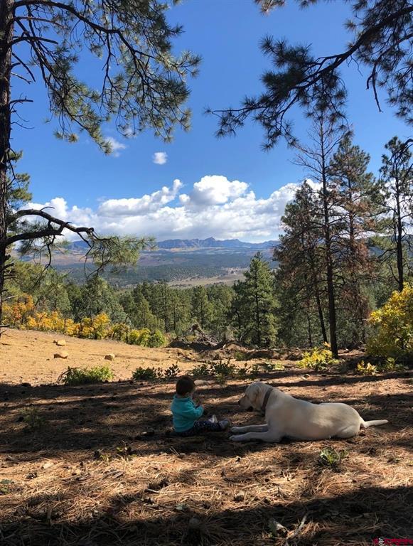 1140 Lodgepole Drive Pagosa Springs CO 81147