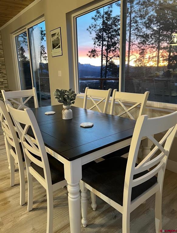 1140 Lodgepole Drive Pagosa Springs CO 81147