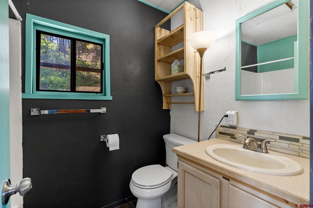1059 E Stollsteimer Pagosa Springs CO 81147